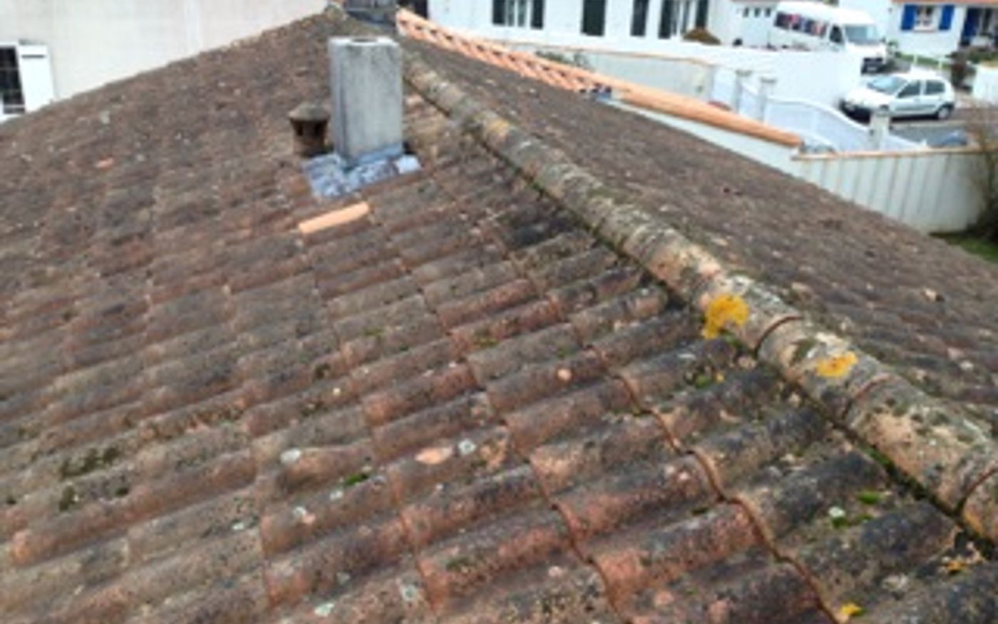 Nettoyage demoussage toiture rom 79120 avant