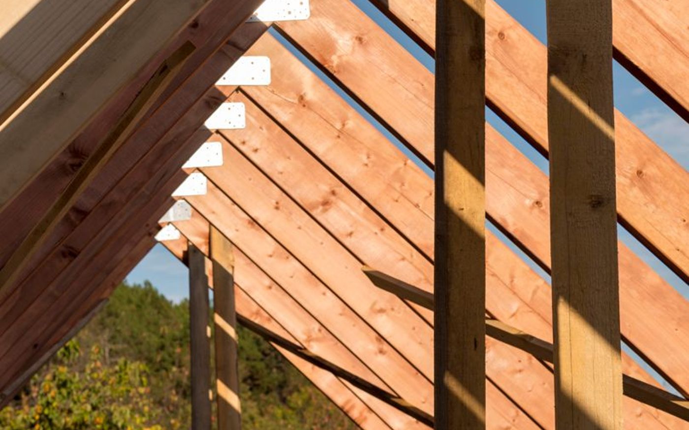 Renovation charpente rom 79120