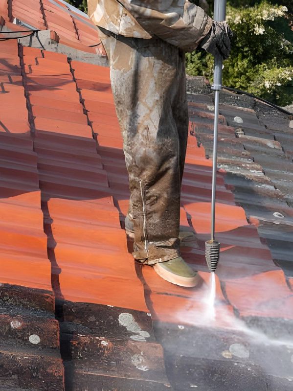 nettoyage toiture rom 79120