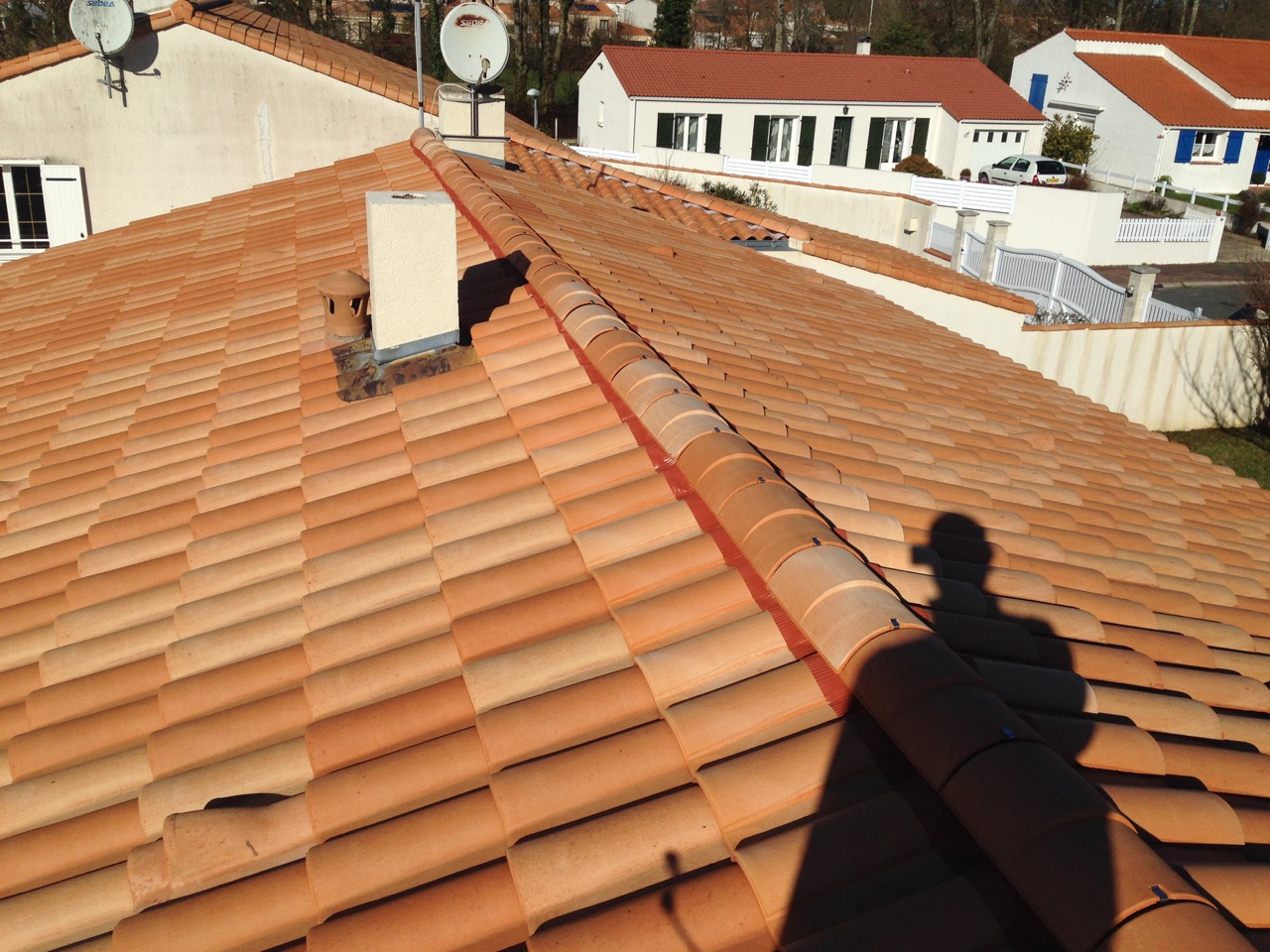 Demoussage toiture romagne 86700