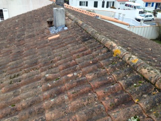 Demoussage toiture romagne 86700