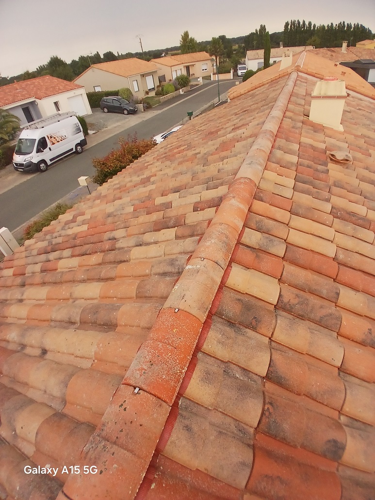 Nettoyage toiture rom 79120 après