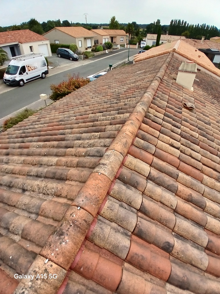 Nettoyage toiture rom 79120 avant