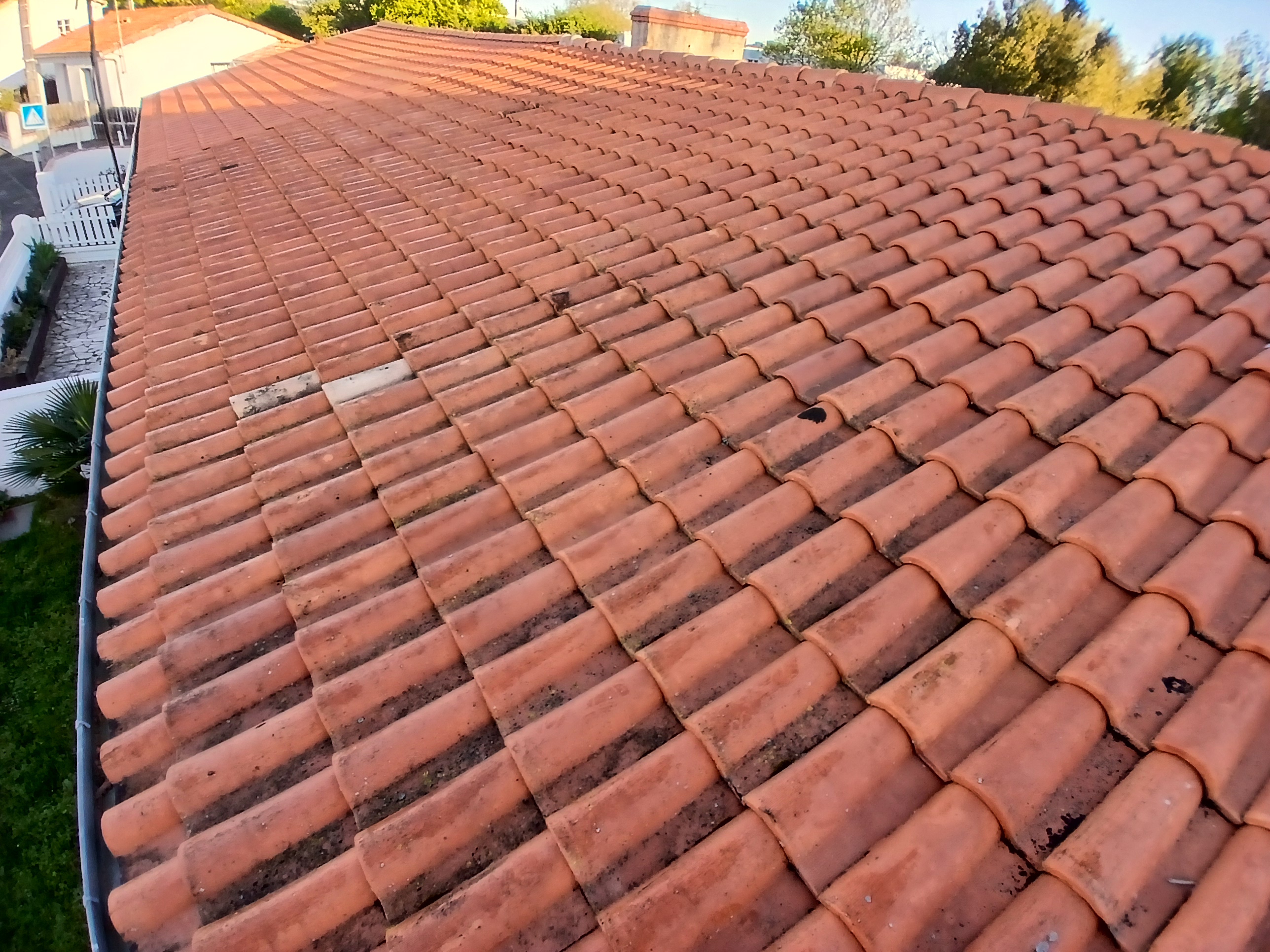 Reparation et nettoyage de toiture brioux sur boutonne 79170